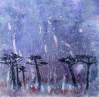 Akaasiapuita Afrikassa